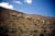 mtn goats_1