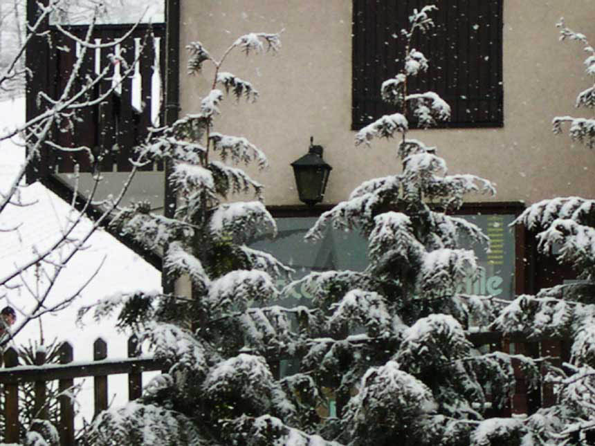 snow on st martin trees