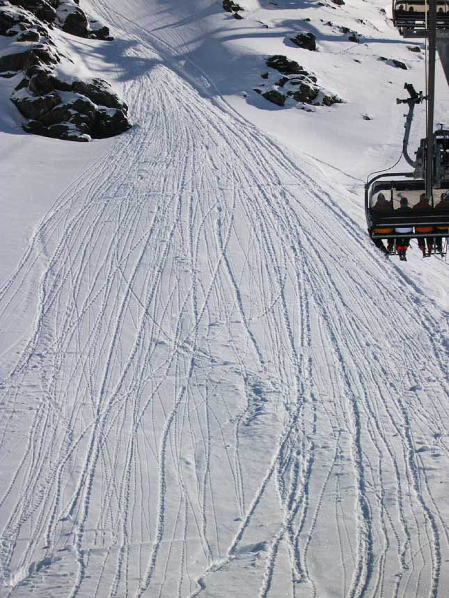 tracks in the snow