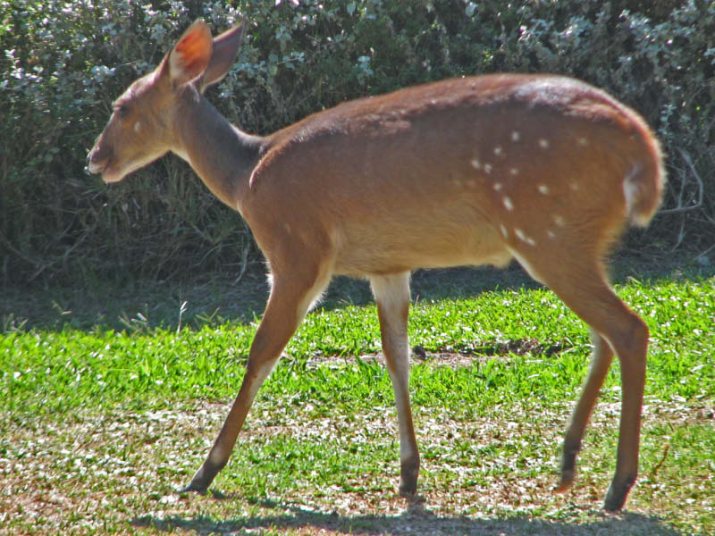 IMG_4026_edited-1