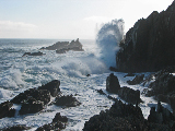 IMG_3899_edited-1