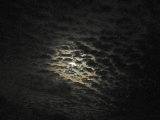 IMG_3933_edited-1