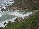 IMG_3956_edited-1