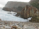 IMG_3984_edited-1
