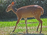 IMG_4026_edited-1