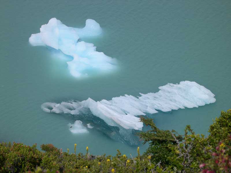 10 Some icebergs in the lake