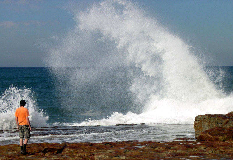 roj and wave