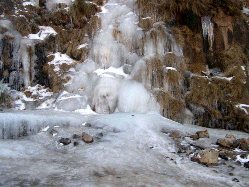 sani ice
