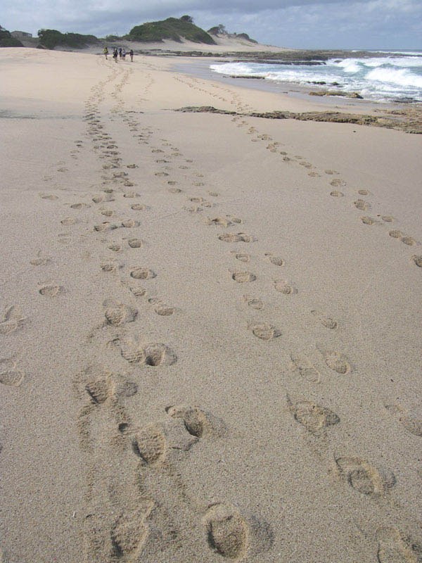 tracks and people approaching
