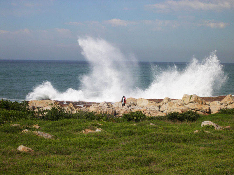 wave series 2