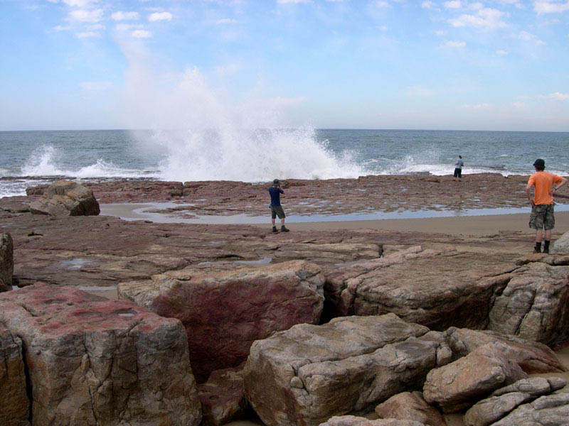 wave series 4